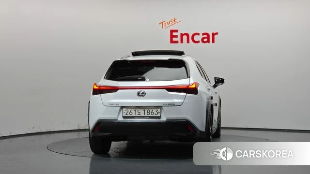 Lexus UX250h id 4960118 из Кореи 14