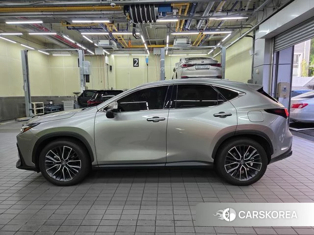 Lexus NX350h Second generation 2025 Серебристо-серый из Кореи, фото 6