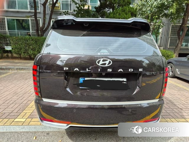 Hyundai Palisade (LX3) 2026 Цвет тростника из Кореи, фото 4