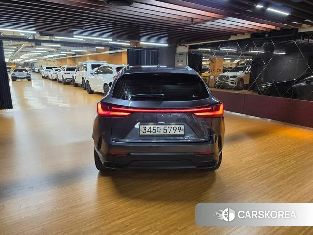 Lexus NX350h Second generation id 5022009 из Кореи 12