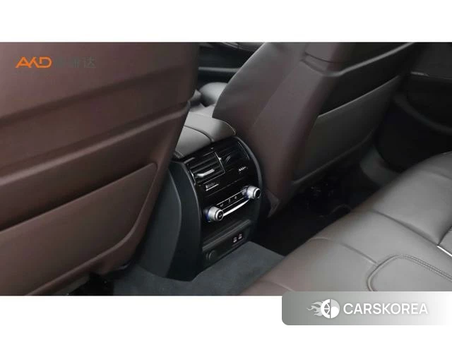 BMW 5 series 2020 Синий из Китая, фото 4