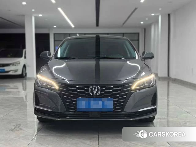 Chang'an Ruicheng CC 2021 Темно-серый из Китая, фото 4
