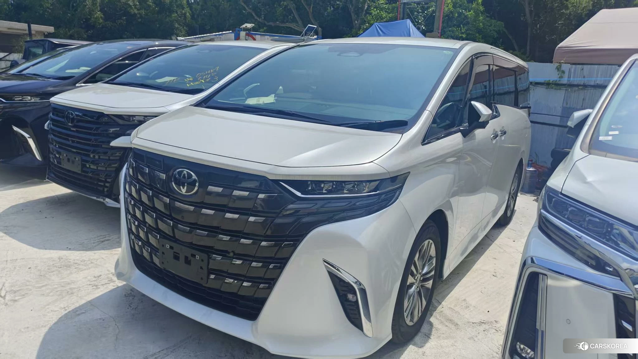 Toyota Alphard 2023 Белый из Китая, фото 4