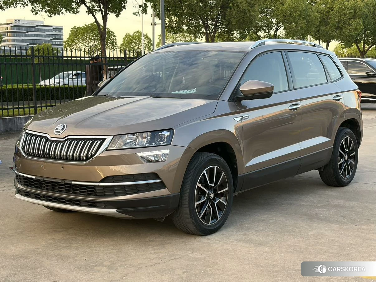 Skoda Karoq 2020 Шампань из Китая, фото 4