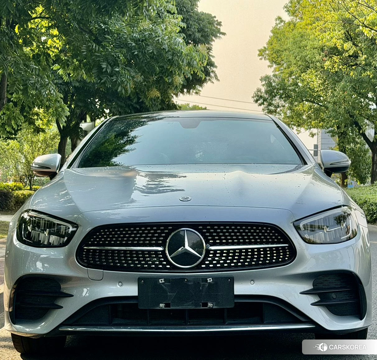 Mercedes-Benz E-Class 2019 Темно-серый из Китая, фото 5