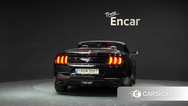 Ford Mustang id 4855106 из Кореи 14