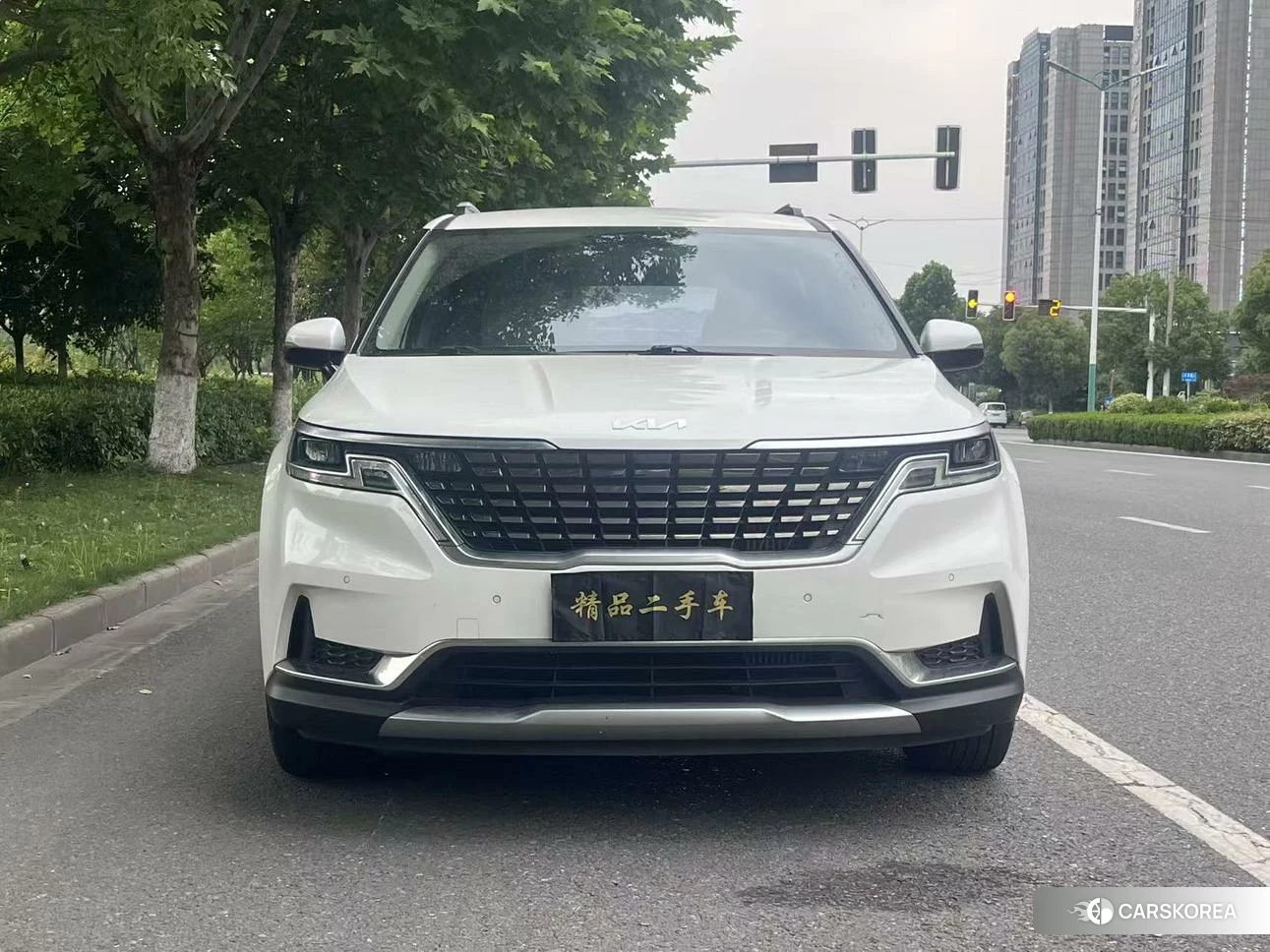 Kia Carnival 2021 Белый из Китая, фото 6