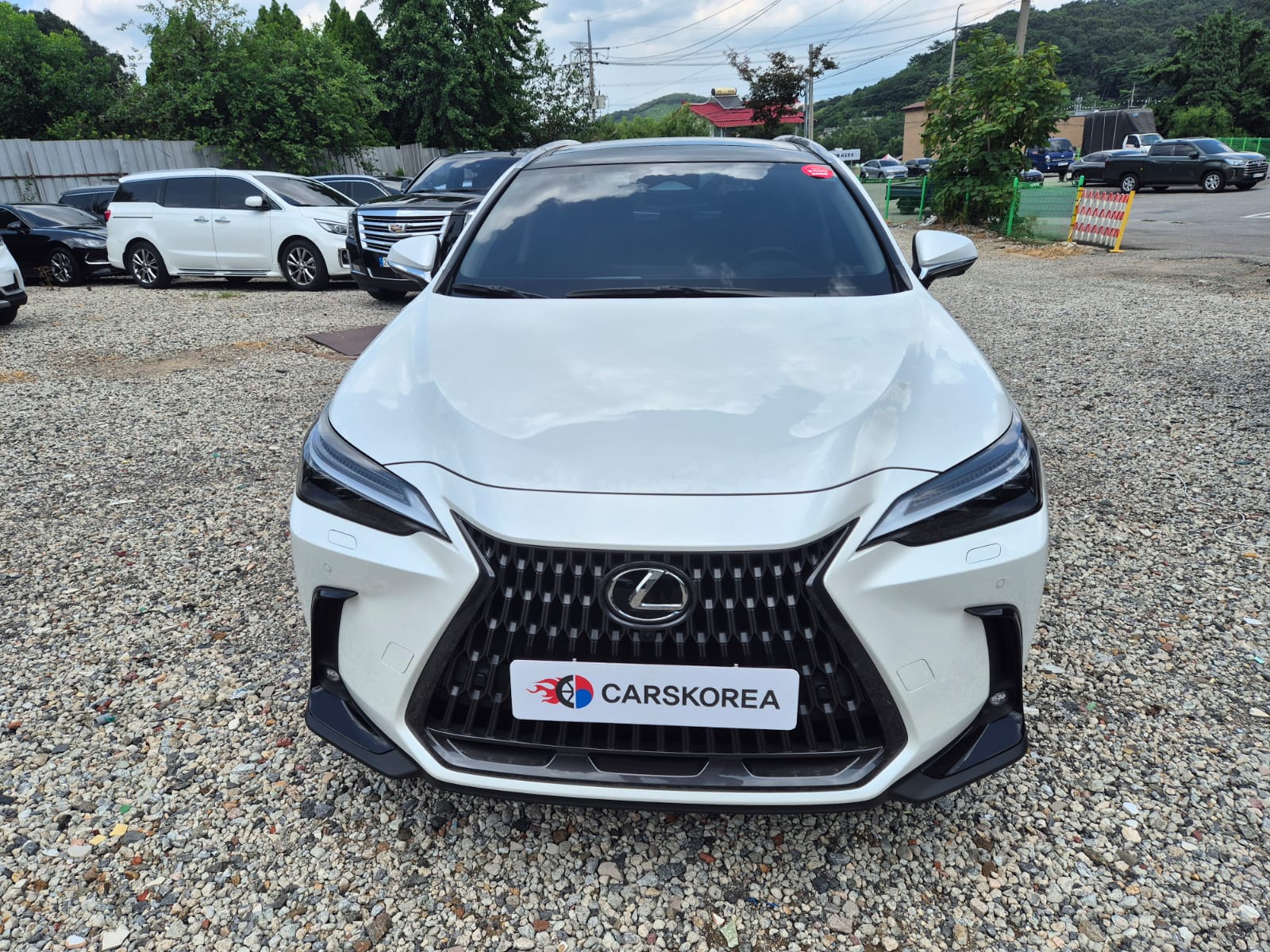 Lexus NX350h Second generation 2022 из Кореи