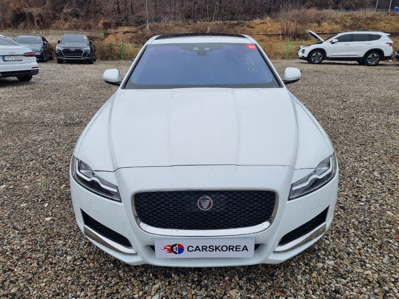 Jaguar XF (X260) 2020 из Кореи