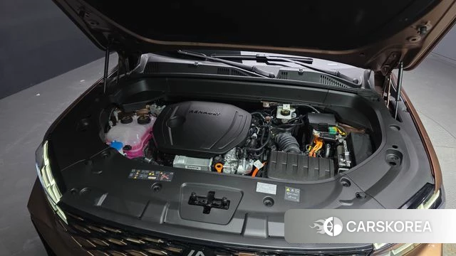 Renault Korea (Samsung) Grand Coleos id 4940814 из Кореи 31