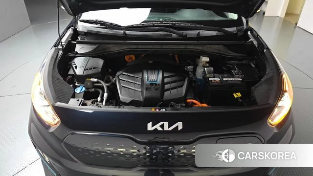 Kia Niro EV id 5040760 из Кореи 33