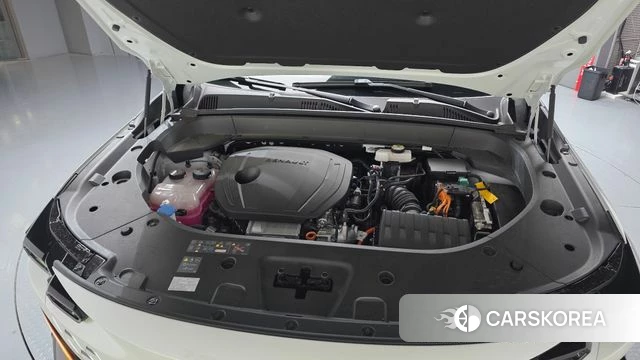 Renault Korea (Samsung) Filant id 4782832 из Кореи 29