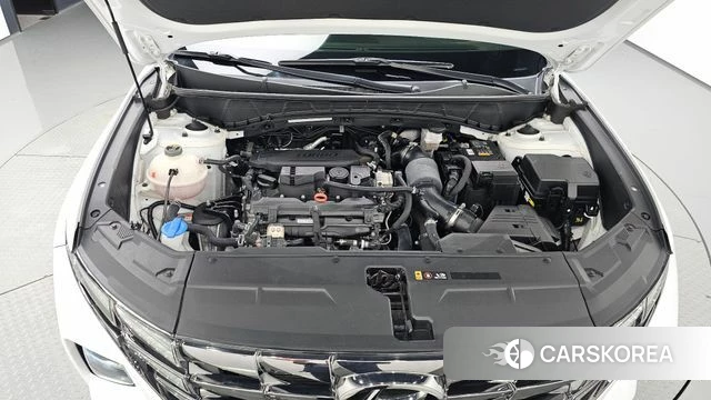 Hyundai Tucson (NX4) id 4917333 из Кореи 26