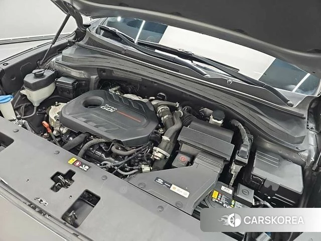 Hyundai Santa Fe TM id 5004430 из Кореи 13