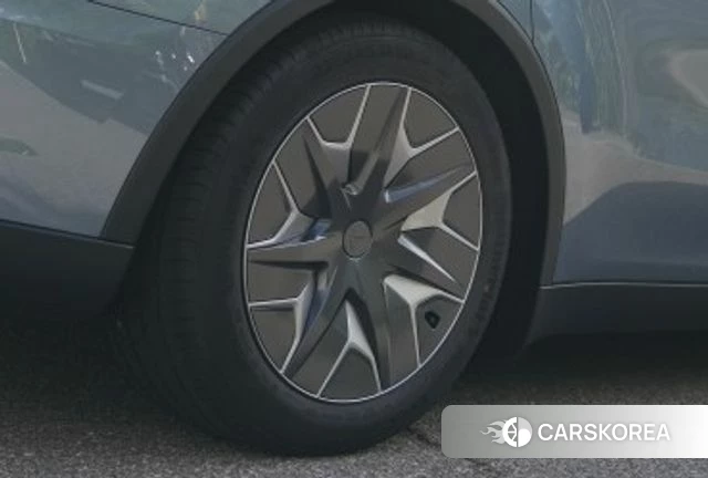 Tesla Model Y 2026 Светло-серебряный цвет из Кореи, фото 5