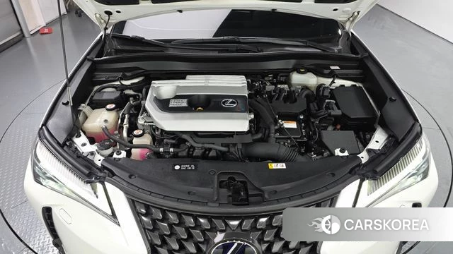 Lexus UX250h id 4977913 из Кореи 25