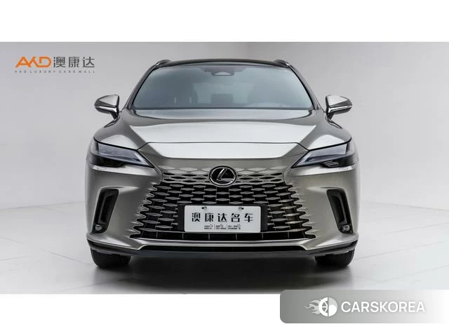 Lexus RX 2024 Серебристо-серый из Китая, фото 5