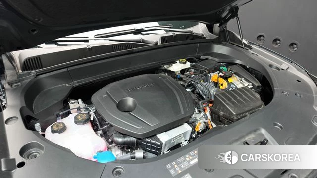 Renault Korea (Samsung) Filant id 5001438 из Кореи 27