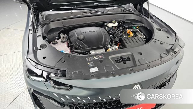 Renault Korea (Samsung) Filant id 4870471 из Кореи 31