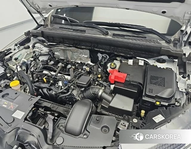 Renault Korea (Samsung) Arcana id 4910886 из Кореи 15