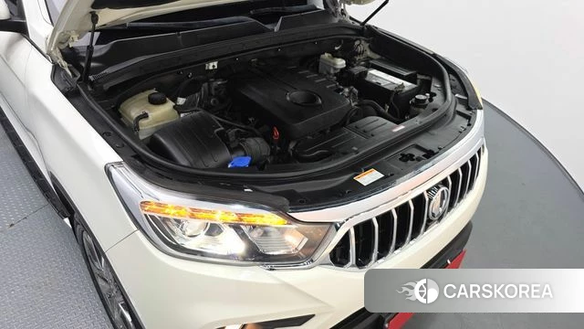 Ssangyong Rexton Sports Cannes id 5013695 из Кореи 34