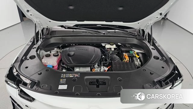 Renault Korea (Samsung) Filant id 5025892 из Кореи 33