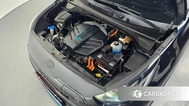 Kia Niro EV id 4987980 из Кореи 25