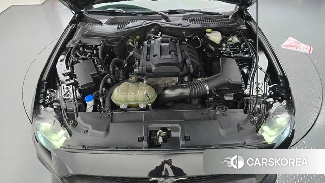 Ford Mustang id 4951134 из Кореи 26