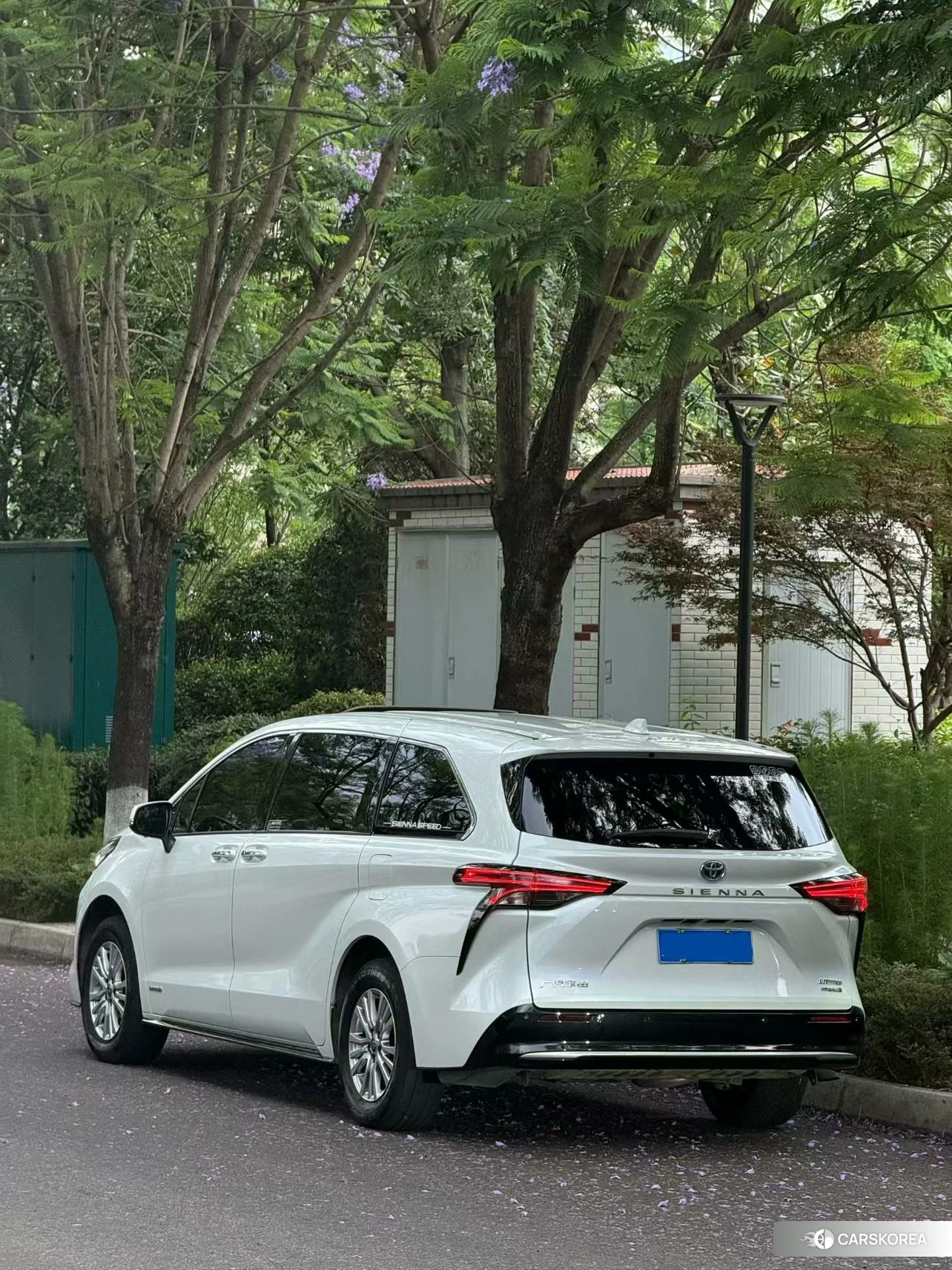 Toyota Sienna 2021 Белый из Китая, фото 5