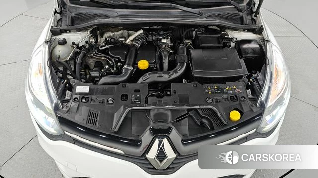 Renault Korea (Samsung) Clio id 5042100 из Кореи 26