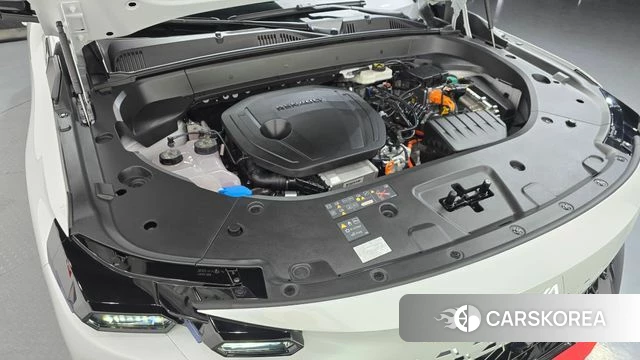 Renault Korea (Samsung) Filant id 4791824 из Кореи 27