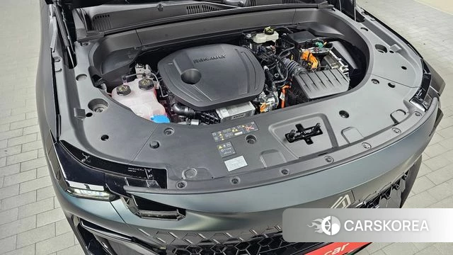 Renault Korea (Samsung) Filant id 4940857 из Кореи 28