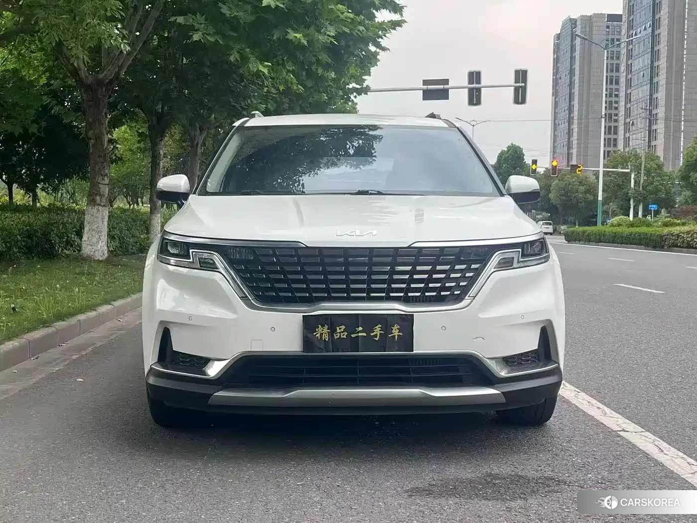Kia Carnival 2024 Белый из Китая, фото 5