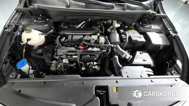 Kia Sportage 5th Generation id 5039971 из Кореи 28
