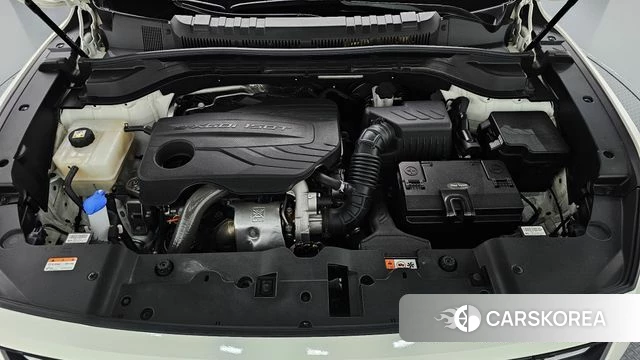 Ssangyong Torres id 4981405 из Кореи 31