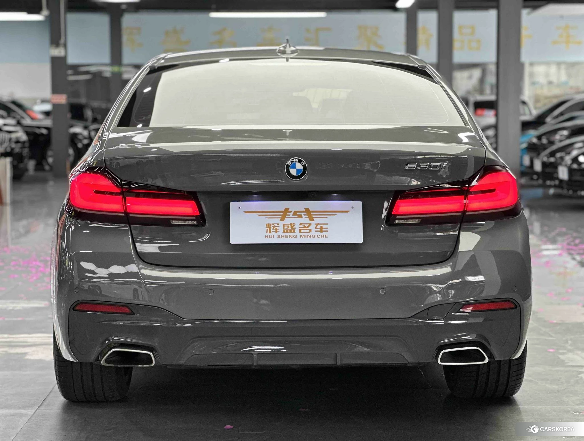 BMW 5 series 2020 Темно-серый из Китая, фото 5