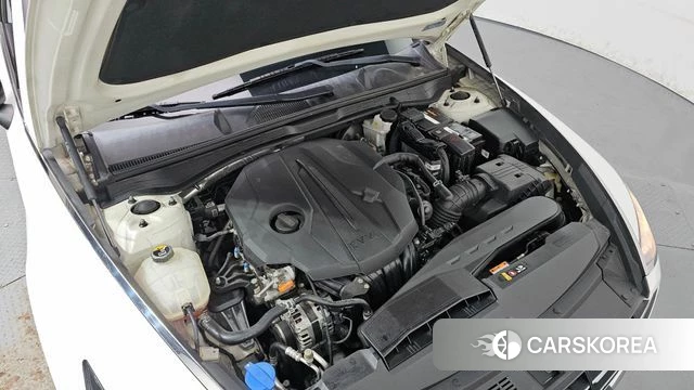 Hyundai Sonata (DN8) id 5023575 из Кореи 25
