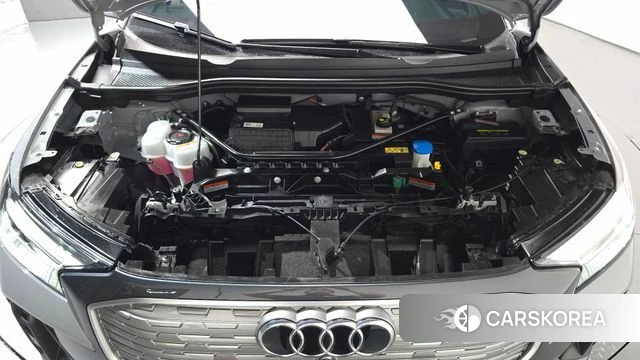 Audi Q4 e-Tron (F4) id 4990473 из Кореи 28