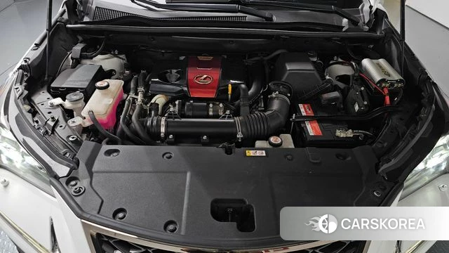 Lexus NX300 id 5028557 из Кореи 34