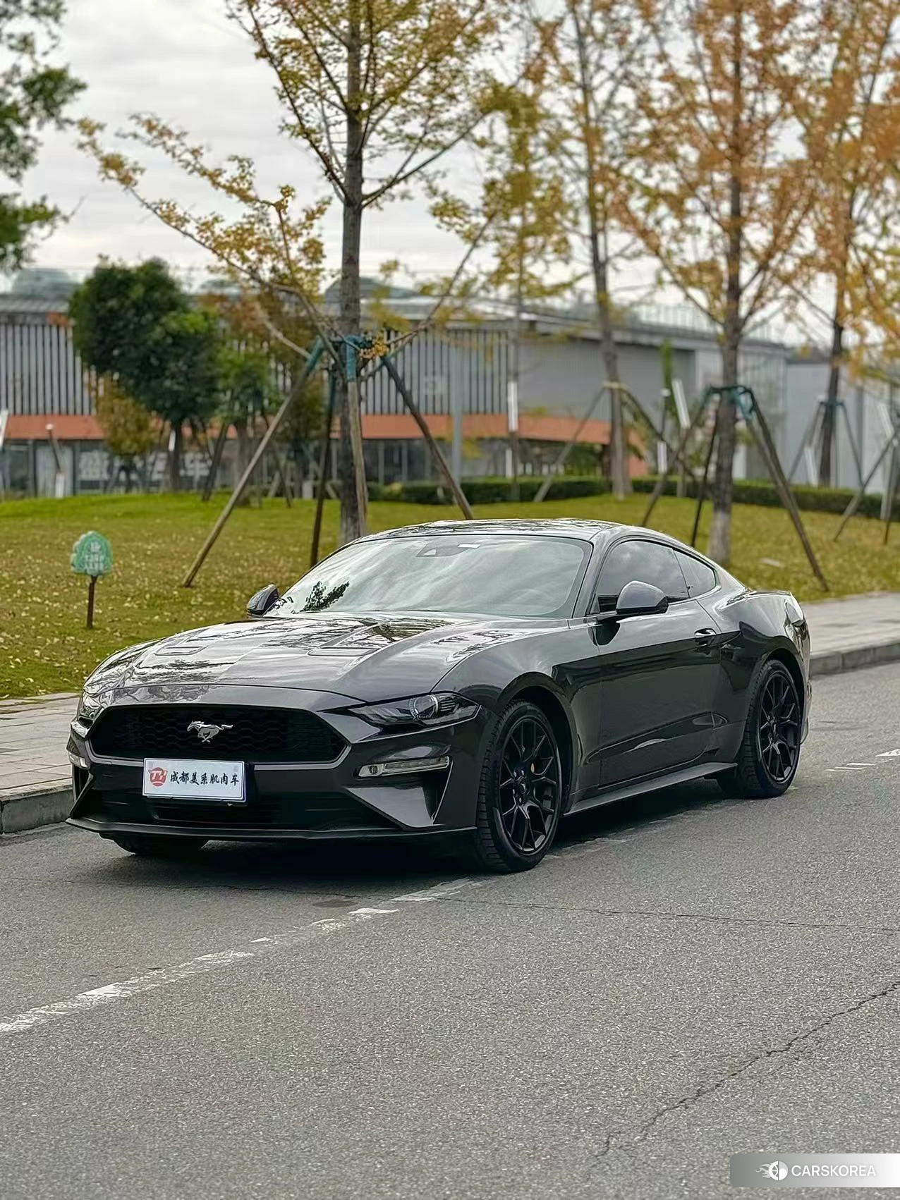 Ford Mustang 2020 Черный из Китая, фото 5