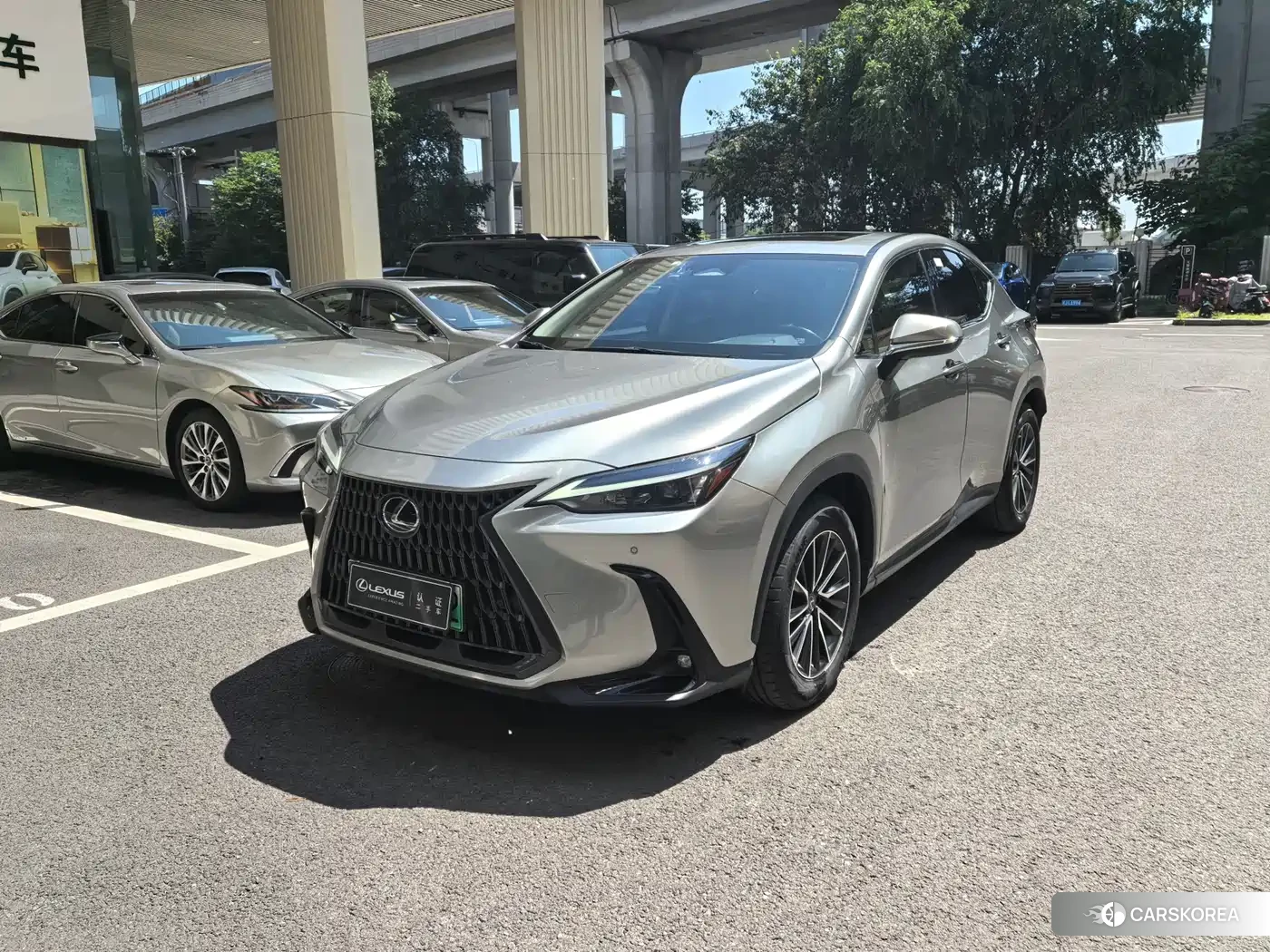 Lexus NX 2022 Silver/gray из Китая, фото 5