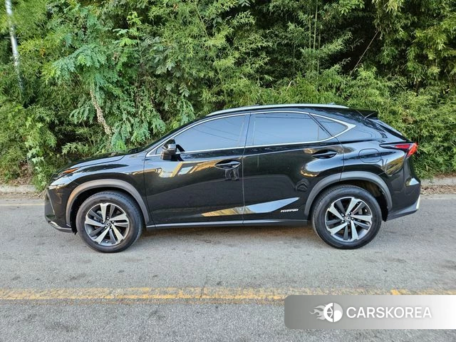 Lexus NX300h id 4998373 из Кореи 13