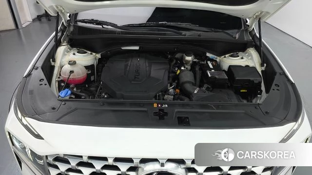 Hyundai The New Santa Fe id 4982321 из Кореи 27