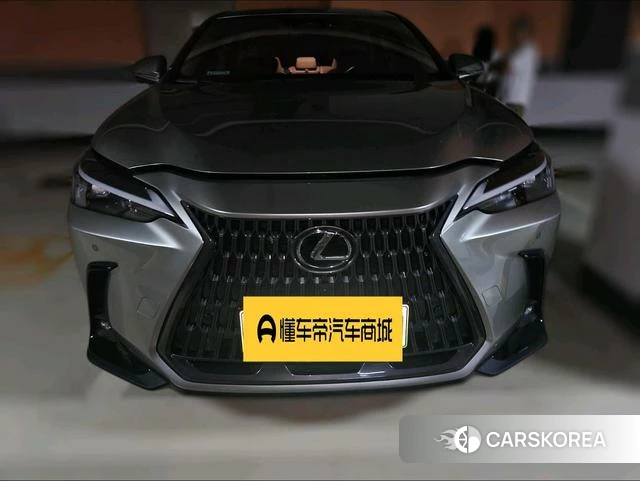 Lexus NX 2022 Серебристо-серый из Китая, фото 5