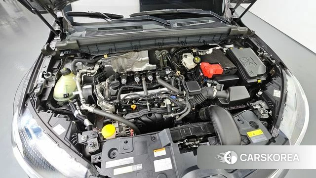 Renault Korea (Samsung) XM3 id 5034949 из Кореи 25