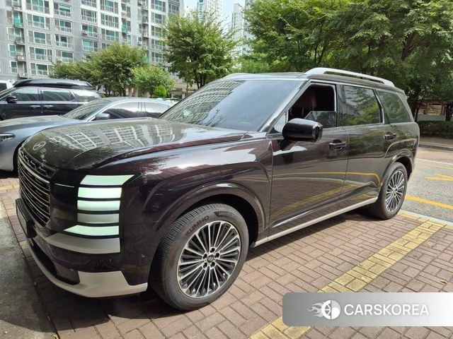 Hyundai Palisade (LX3) 2026 Цвет тростника из Кореи, фото 5