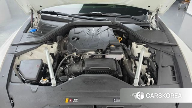 Genesis G80 (RG3) id 5041342 из Кореи 16