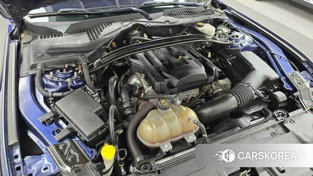 Ford Mustang id 4988095 из Кореи 16