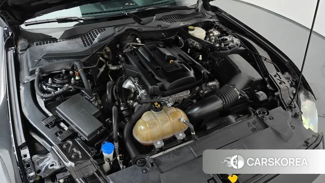 Ford Mustang id 4998193 из Кореи 29