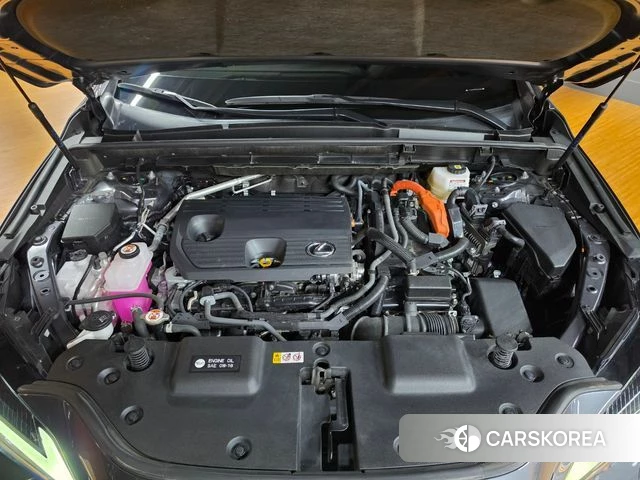 Lexus NX350h Second generation id 4957706 из Кореи 14